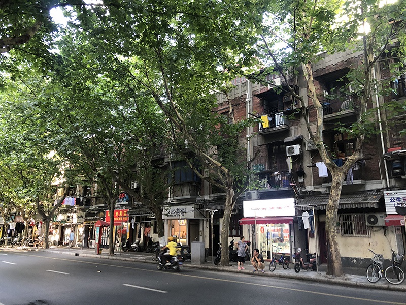 建国东路动迁范围内老旧小区李贝贝 摄