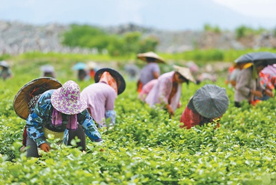 中欧地理标志协定：“地标产品”有了新保护