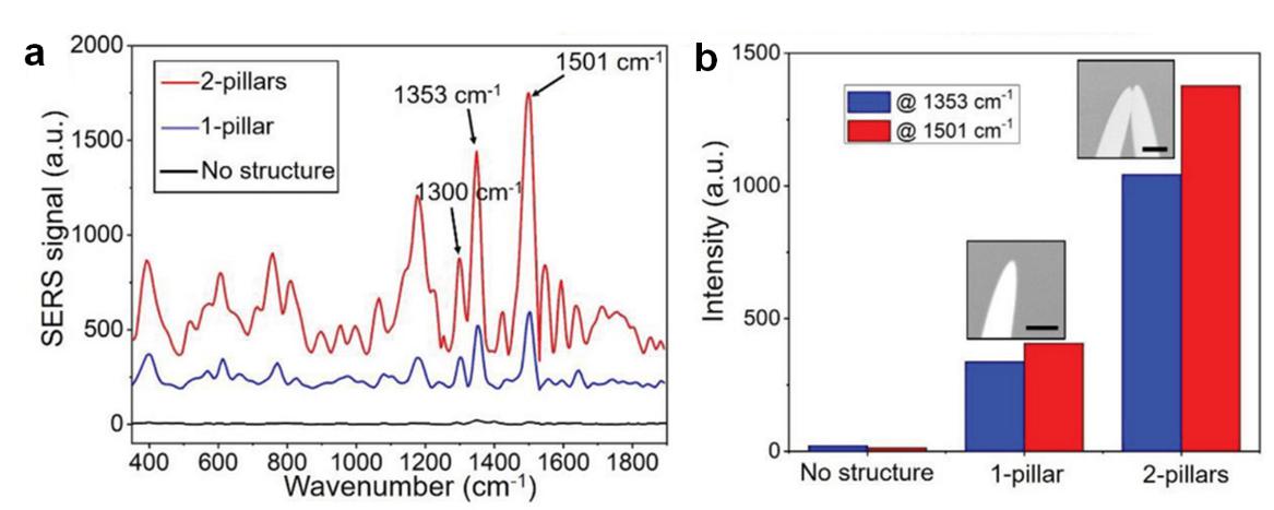 图2. (a) 不同的结构的表面拉曼增强光谱；(b)结构类型对SERS光谱的影响关系。