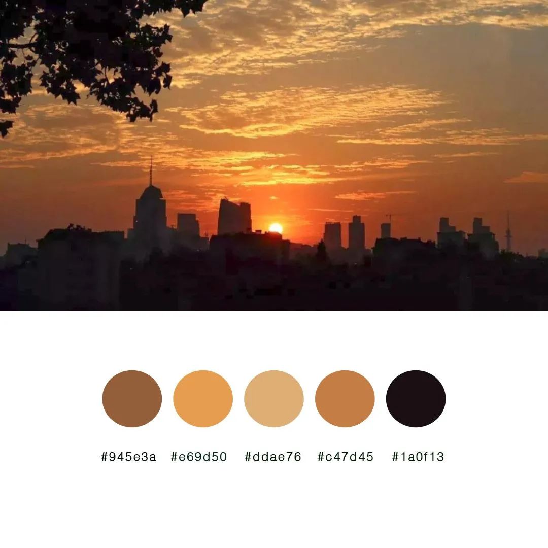 四季青大最美专属色卡