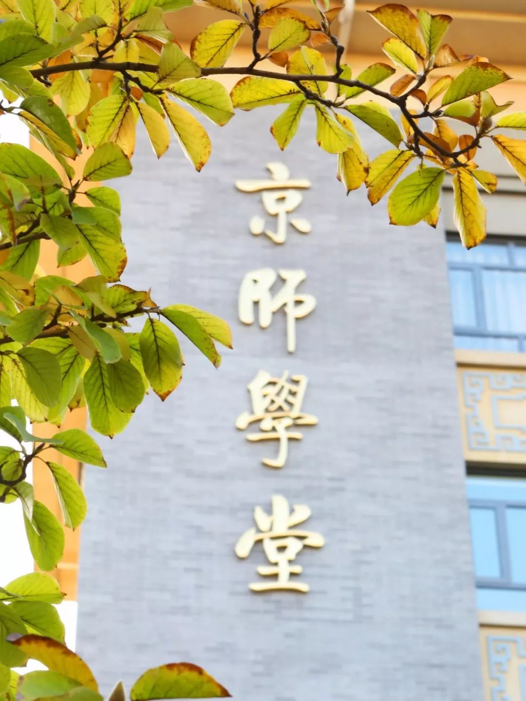 师大的春秋冬夏,都将与你有关_新浪新闻