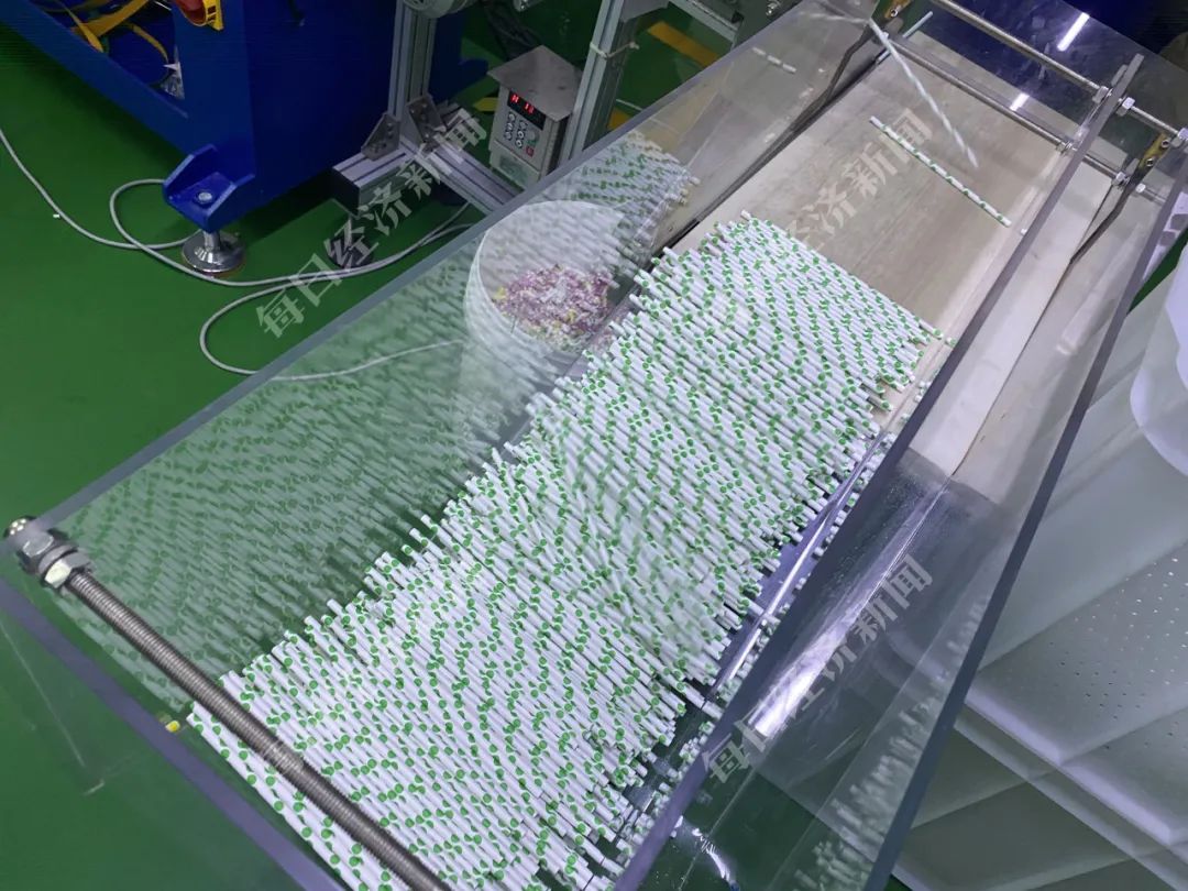 浙江安倩生产的纸吸管 图片来源:实习记者 舒冬妮 摄