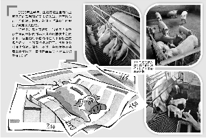 超强上行周期拐点已至 猪企“躺赚”好日子难延续