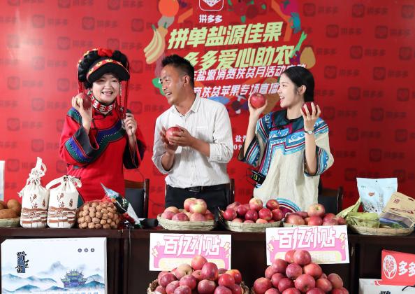 盐源县致富带头人赵兴志在拼多多直播间带头唱起苹果丰收曲.