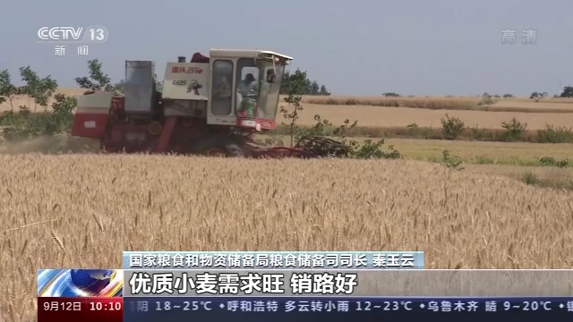 国家粮食和物资储备局：秋粮收购将启动 谷物库存充裕