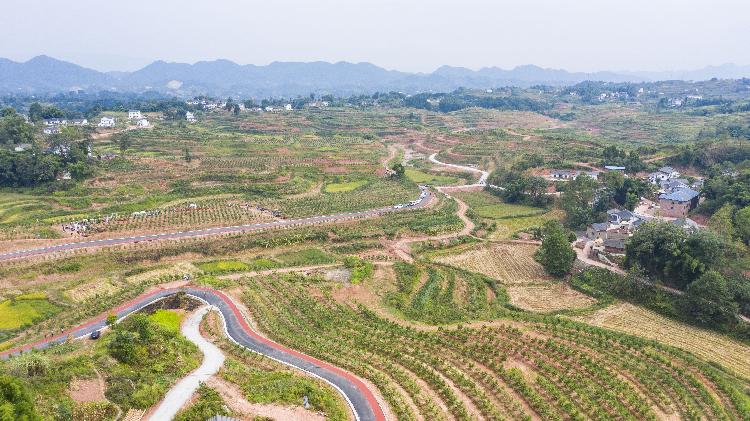 记者齐岚森摄/视觉重庆9月10日,2020年全国丘陵山区农田宜机化改造