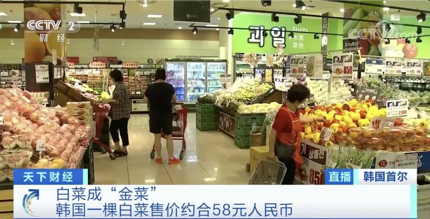 韩国泡菜严重紧缺：一颗售价58元 农贸市场卖断货