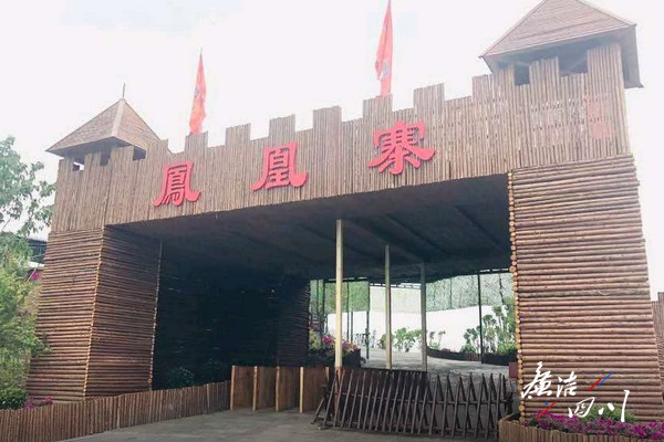 南充市高坪区火烽村的凤凰涅盘