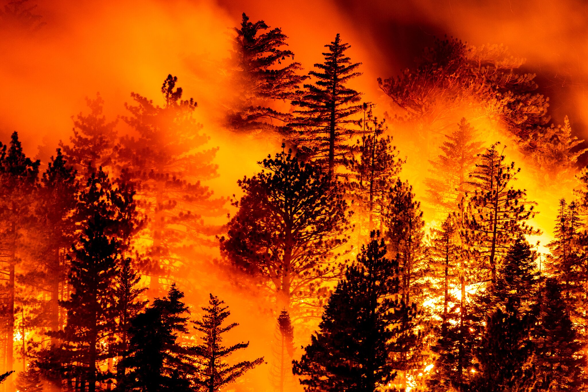 △加利福尼亚州山火持续蔓延 图片来源：《纽约时报》 