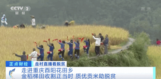 这个贫困村 把一碗饭做成了3000万的大生意 村民致富 靠的这三样 新浪科技 新浪网