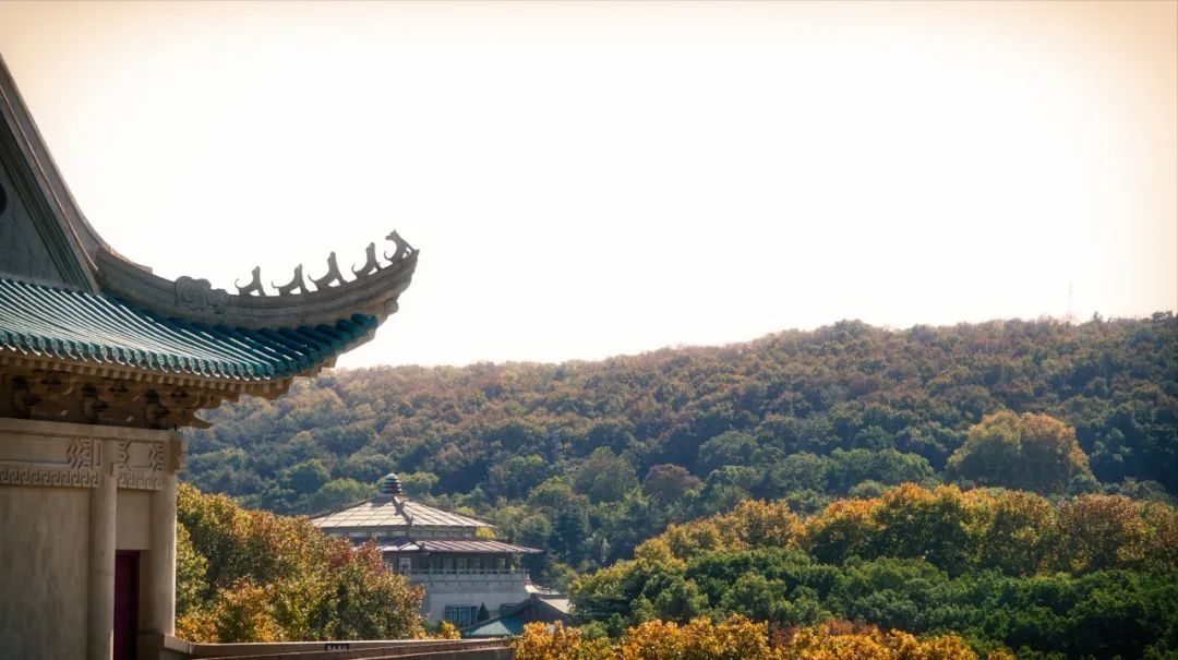 hi珞珈山我有话跟你说