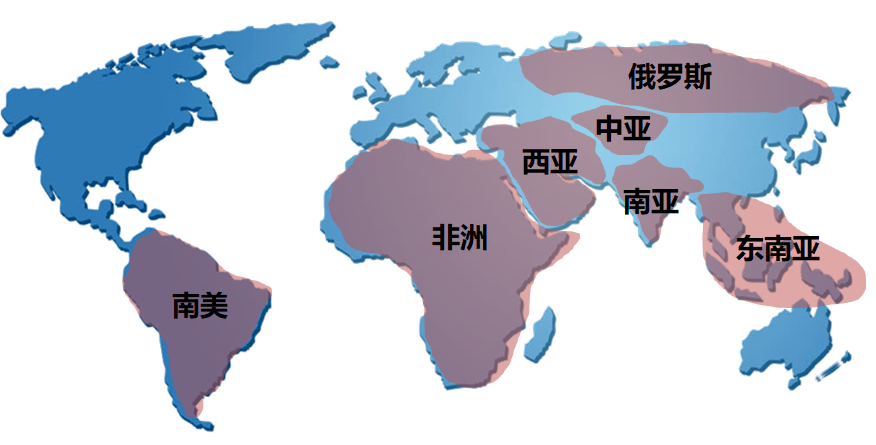 中泰发展中泰进出口贸易公司积极开拓海外市场推动外贸业务稳步发展
