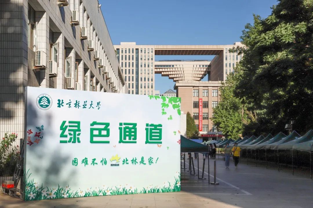 北京林业大学2020排_北京林业大学2020届本科毕业生就业质量报