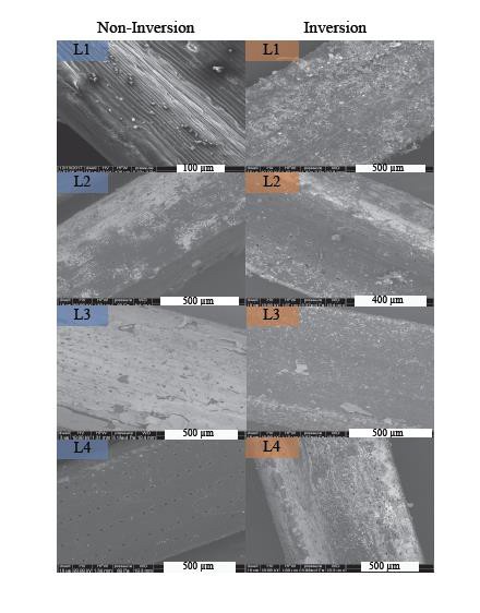 科学家利用树叶上磁性颗粒的堆积监测周围空气质量 3 科学家利用树叶上磁性颗粒的堆积来衡量周围空气质量