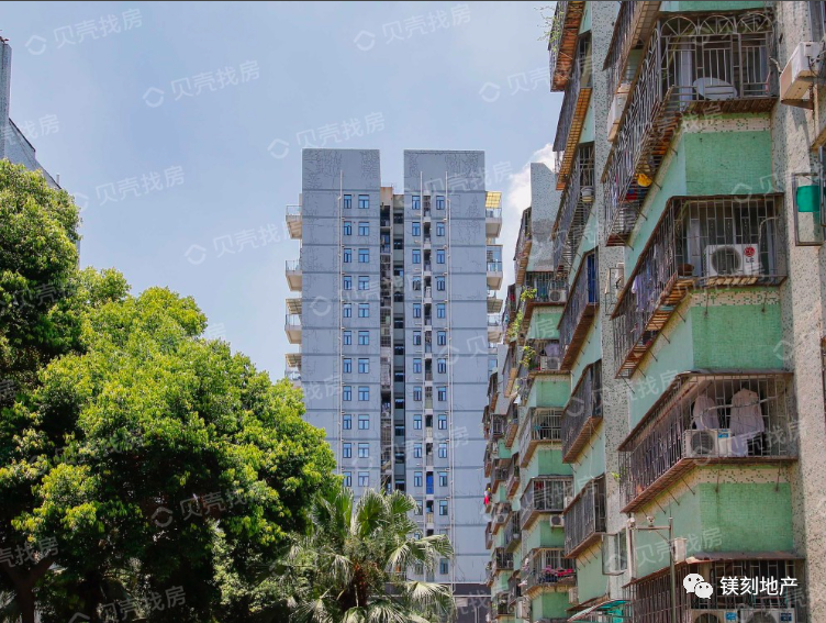 共用大门和物业却无法一同棚改 深圳某小区业主申诉“求拆”