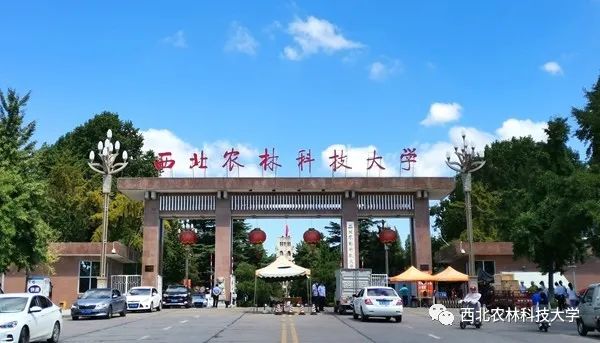 前方正是西北农林科技大学的校门小西也随之驻足水晶球突然停下便跟随
