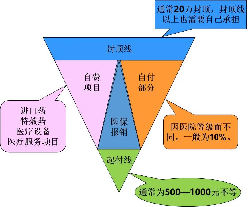 图片来源于网络