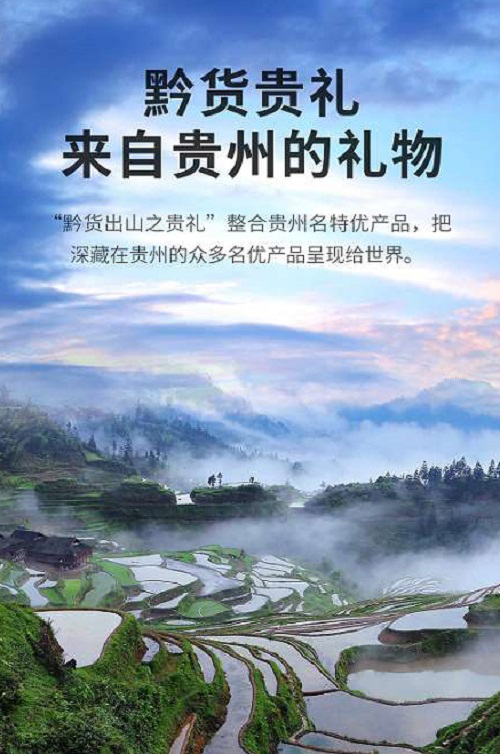 4万份调研报告中,分析总结,优中选优,首期开发出"黔货出山之贵礼"产品