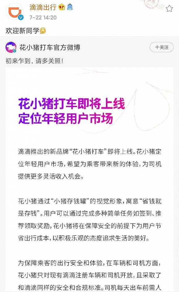 滴滴官宣花小猪上线，图源滴滴出行官方微博