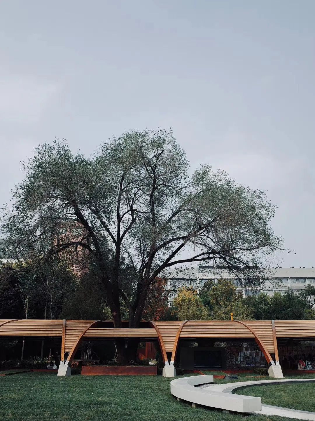 带你了解北林大景观新地标林之心背后的八个突破