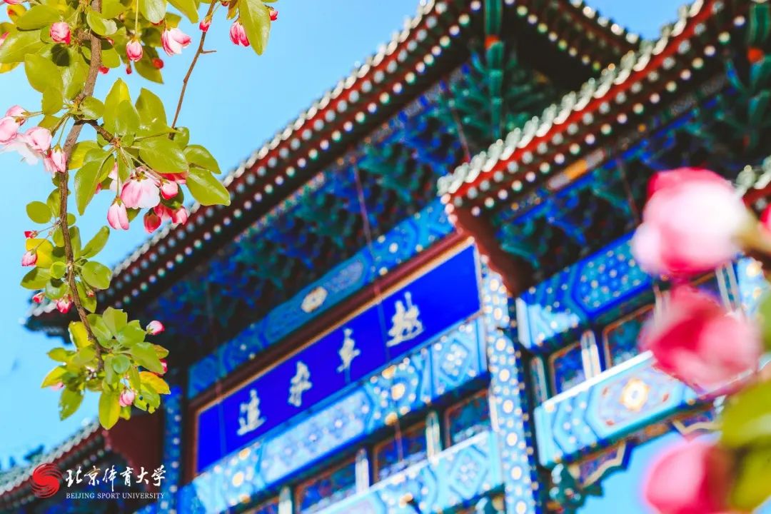 北京体育大学2020年公开招聘教师公告第五批