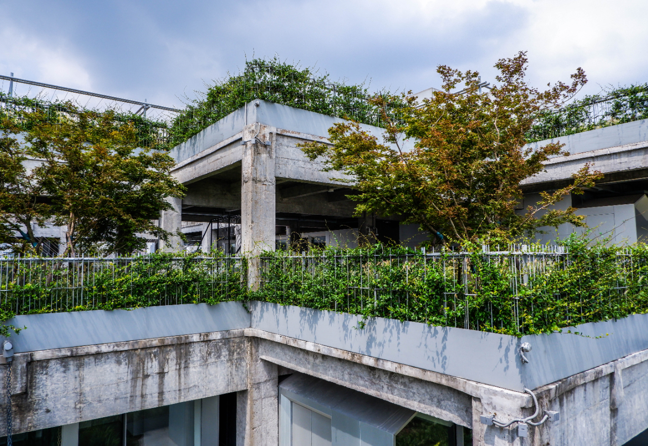 "绿之丘"成杨浦滨江网红打卡地,今后或将在商业运营方面做探索