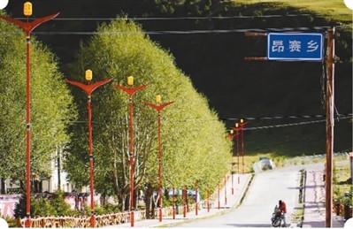 杂多县昂赛乡的藏族居住区太阳能灯下笔直的乡村公路