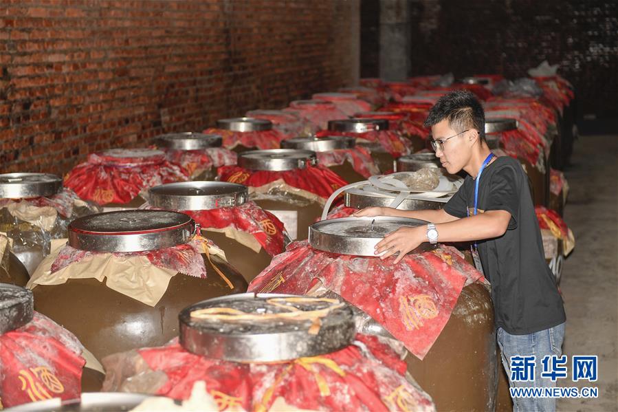 在吉林省舒兰市三梁村，工作人员在酒窖内进行日常巡护（8月25日摄）。新华社记者 许畅 摄