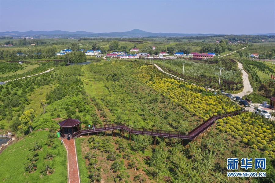 在长春市九台区清水村，游人在千亩苗木花卉休闲旅游观光产业园区参观游览（9月6日摄）。新华社记者 许畅 摄