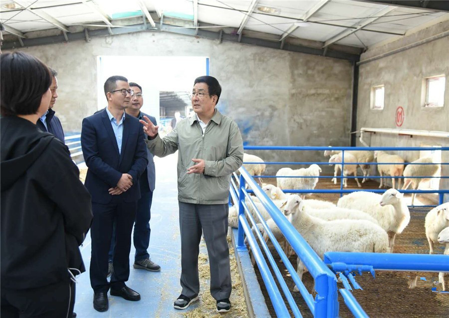 省委书记,省人大常委会主任林铎9月23日在民勤县调研指导乡村振兴和