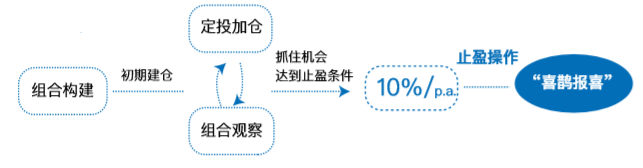 不知不觉 已是第六只喜鹊飞来