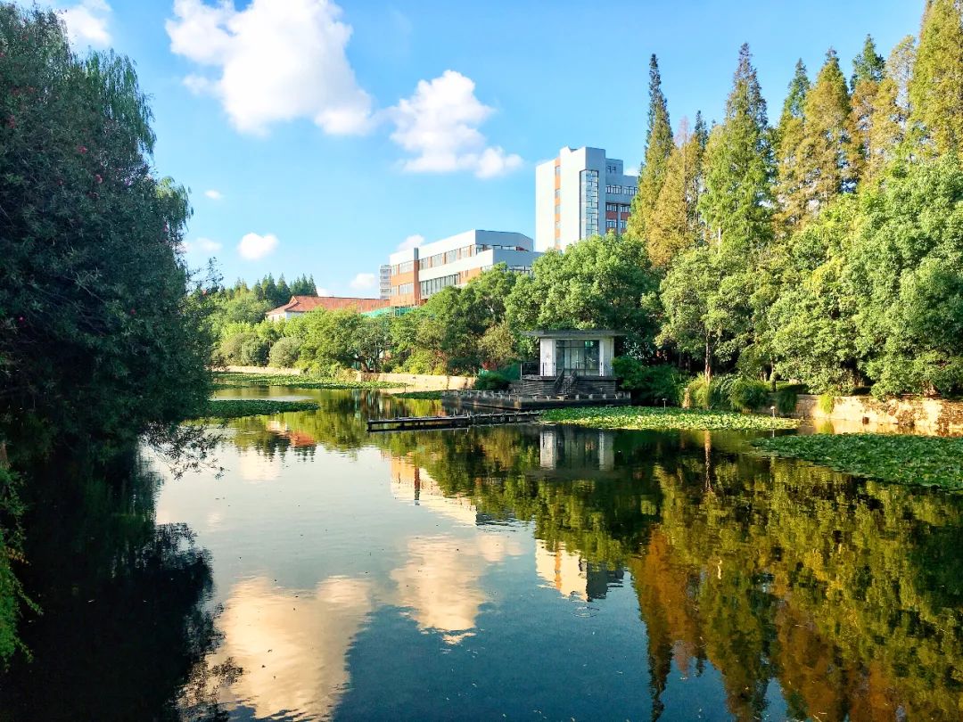 2020华东师范大学初_华东师范大学2020届毕业生就业质量报告发布!英国留(2)