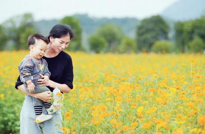 硫华菊花海。乐清日报全媒体记者　黄瀚　摄