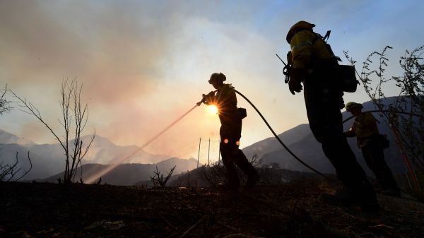 加州消防员正奋力扑灭当地森林公园里的野火。（法新社）