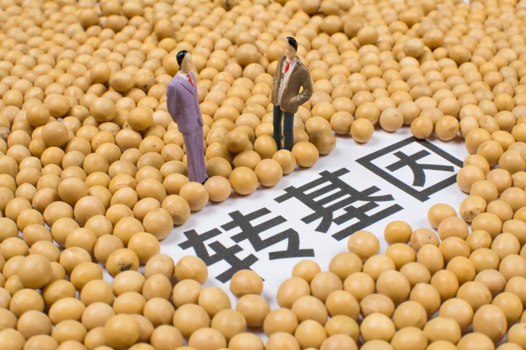 金龙鱼再曝转基因风波 进口600吨转基因油却不标识被查