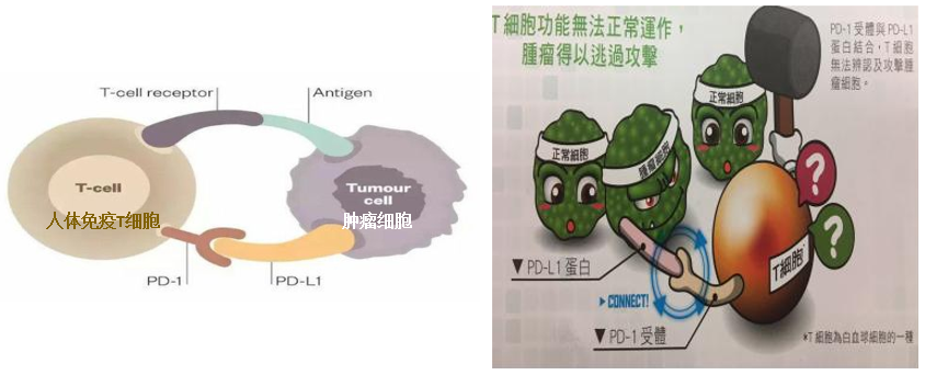 图片来源：如医全球好药