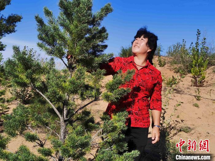 图为53岁的全国劳动模范殷玉珍正在向记者介绍治沙经验  党田野摄