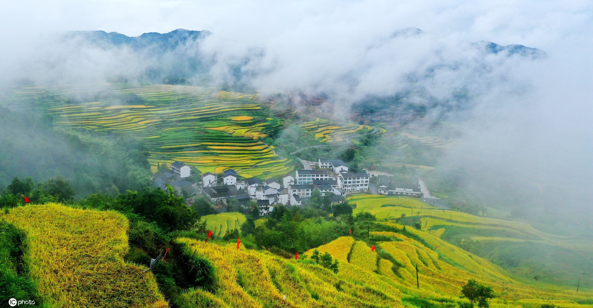 生态乡村_生态乡村最新消息,新闻,图片,视频_聚合阅读_新浪网