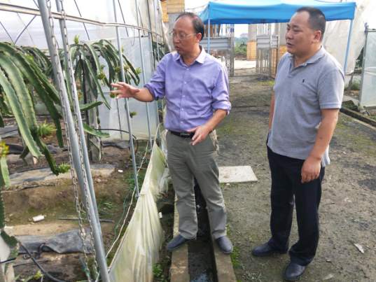 惠民生稳脱贫谋产业访农户荆州市信访局局长姚锡发到安碑村攻坚拔寨