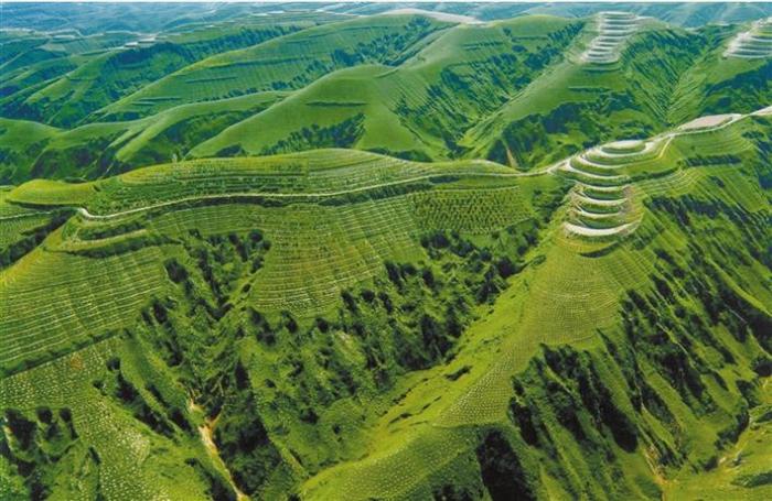 退耕还林后的陕北  陕西省林业局供图