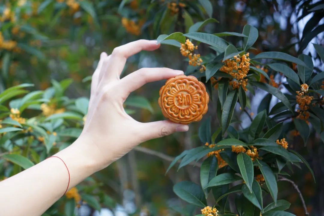 发啦!珞珈限量版月饼在校生每人一份