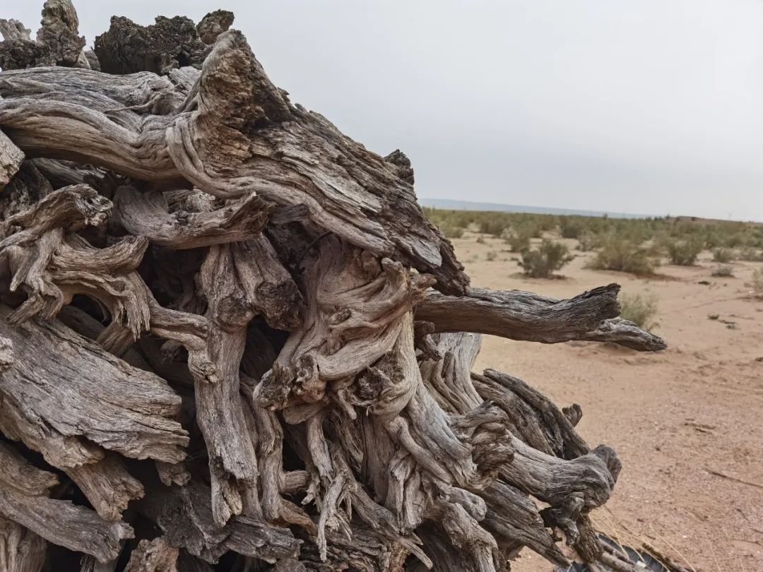 新浪财经_新浪网