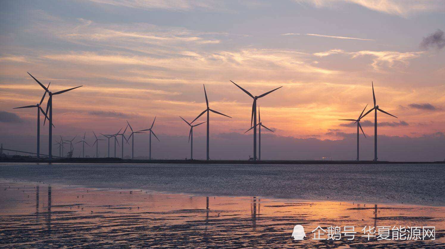 金雷股份"暴动":风电抢装潮下,第三季度盈利增长近