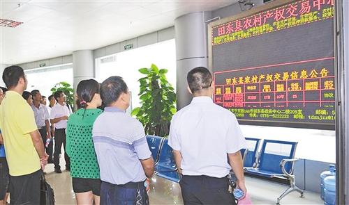 广西百色市田东县农村金融改革调查 金融服务如何“贷”动脱贫