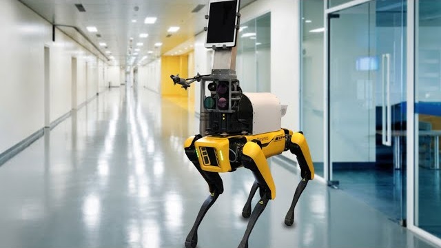 波士顿动力Spot机器人让医护与患者可以避免接触_中国机器人网