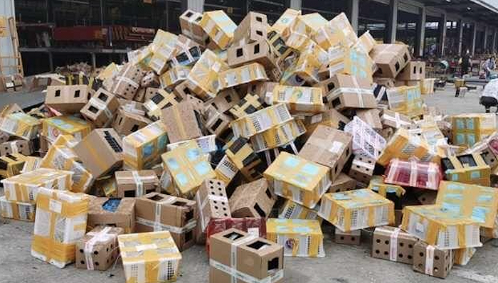 数千只宠物滞留物流园死亡 韵达快递：系他人假冒、禁运动物