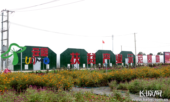 位于广平县后南阳堡村的云蘑扶贫产业示范基地。长城网记者 信贺宁 摄