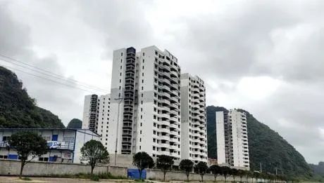 图片来源:阿里拍卖