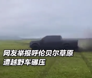 男子驾车碾压草原 处罚结果来了!官方:罚款还要把草种回来