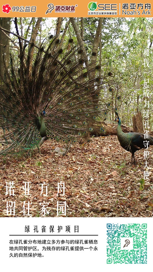 3种姿势做公益 99公益日爱已起航 不停歇 扶贫 新浪财经 新浪网 3种姿势做公益 99公益日爱已起航 不停歇 扶贫 新浪财经 新浪网